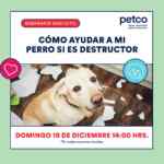 Petco Seminario Gratis Cómo ayudar a perros destructores este fin de semana