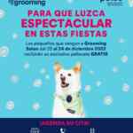 Promoción Petco: Paliacate para tu mascota de regalo si la llevas a grooming del 22 al 24 de diciembre