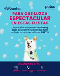 Imagen de la promo