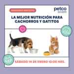 Seminario gratuito de nutrición para cachorros y gatitos en tiendas Petco este 14 de enero