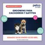 En Petco seminario gratuito "Grooming para cachorros y gatitos" hoy sábado a las 12:00