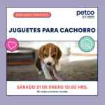 En Petco seminario gratuito "Juguetes para Cachorro" hoy 21 de enero