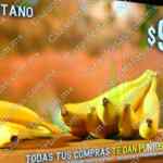 Ofertas Soriana Martes y Miércoles del Campo 3 y 4 de enero 2023