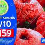 Ofertas Martes de Frescura Walmart 17 de enero 2023