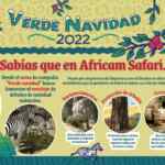 2x1 en Africam Safari si llevas a reciclar tu arbolito de navidad natural