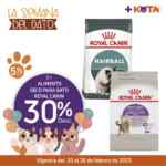 Ofertas Maskota Semana del Gato: 30% de descuento en productos para gatos esta semana