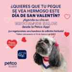 Bandana de San Valentín de regalo para tu mascota si agendas cita en el grooming salon en la app de Petco Bandana de San Valentín de regalo para tu mascota si agendas cita en el grooming salon en la app de Petco