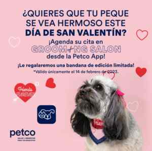Imagen de la promo