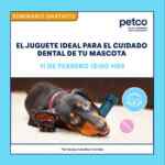 En Petco seminario gratuito “El juguete ideal para el cuidado dental de tu mascota” hoy sábado