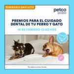 Seminarios Petco gratuitos de fin de semana: Cuidado dental de tu mascota y cuidado de peces Betta