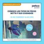 Seminarios Petco gratuitos de fin de semana: Cuidado dental de tu mascota y cuidado de peces Betta