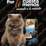 Folleto Chedraui Selecto 15 al 28 de febrero 2023