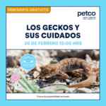 Seminarios gratuitos Petco fin de semana: Mueble correcto para tu gato y cuidado de geckos
