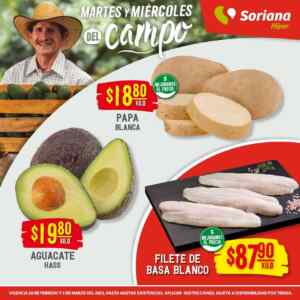 Imagen de la promo