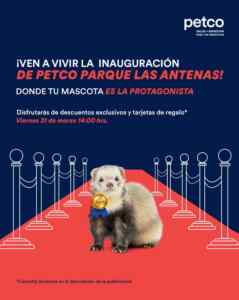 Imagen de la promo