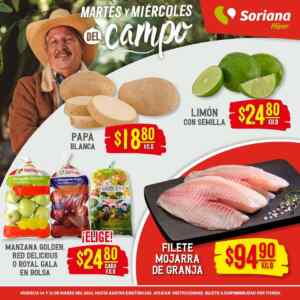 Imagen de la promo