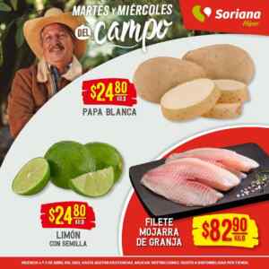 Imagen de la promo