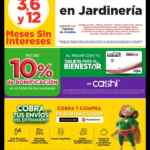 Folleto Bodega Aurrera 65 Años al 16 de mayo 2023