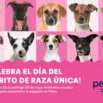 Promos Petco Día del Perro de raza Única del 26 al 28 de mayo Promos Petco Día del Perro de raza Única del 26 al 28 de mayo