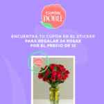Cupón Enviaflores 24 rosas a precio de 12