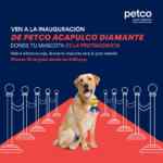 Promo Petco Acapulco Diamante: tarjeta de regalo de $100 Gratis para los 100 primeros por inauguración