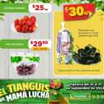 Ofertas Bodega Aurrera Tianguis de frutas y verduras 15 al 21 de septiembre 2023
