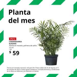 Imagen de la promo