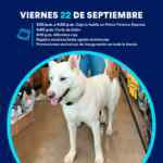 Promoción Petco Polanco: $100 de regalo para los primeros 100 por inauguración