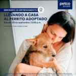 Seminario gratuito Petco 23 de septiembre: Llevando a casa al perrito adoptado