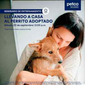 Imagen de la promo