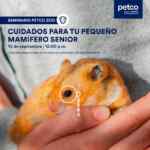 Seminarios Petco gratuitos de fin de semana: Festividades tranquilas para tu mascota y más