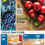 Folleto cuponera Sam’s Club 28 de septiembre al 16 de octubre 2023