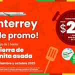 Vuelos desde/hacia Monterrey desde $29 + TUA en Viva Aerobus