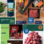 Folleto cuponera Sam’s Club 17 de octubre al 8 de noviembre 2023