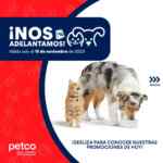 Petco adelantos Buen Fin 2023: 40% de descuento en ropa para mascotas, correas, collares y más