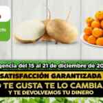 Ofertas Bodega Aurrera Tianguis de frutas y verduras 15 al 21 de diciembre 2023