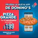 En Dominos Pizza todas las pizzas grandes de hasta 9 ingredientes a $199 c/u