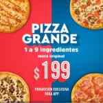 En Dominos Pizza todas las pizzas grandes de hasta 9 ingredientes a $199 c/u