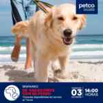 Seminarios gratuitos Petco fin de semana: Sábado 02 y Domingo 03 de diciembre