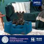 Seminario gratuito Petco: “Eligiendo la Cama Ideal para mi Mascota”