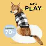 Hasta 70% de descuento en accesorios para mascotas en Old Navy