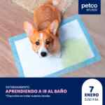 Seminario gratuito Petco: “Aprendiendo a ir al baño”