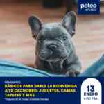 Seminarios gratuitos Petco fin de semana 13 y 14 de enero 2024