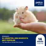 Seminarios gratuitos Petco fin de semana 13 y 14 de enero 2024