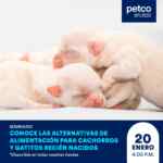 Seminarios gratuitos Petco fin de semana 20 y 21 de enero