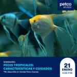 Seminarios gratuitos Petco fin de semana 20 y 21 de enero