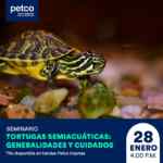 Seminarios gratuitos Petco fin de semana 27 y 28 de enero 2024