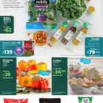 Folleto cuponera Sam's Club del 6 al 29 de enero 2024