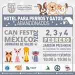 Can Fest 2024: jornadas de salud Gratis para mascotas en la CDMX
