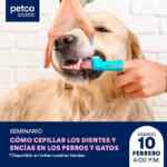 Seminarios gratuitos Petco fin de semana 10 y 11 de febrero